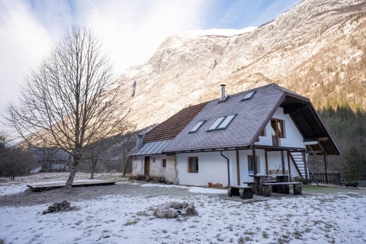 Bovec Home At Three Samoyeds Soča Exteriér fotografie