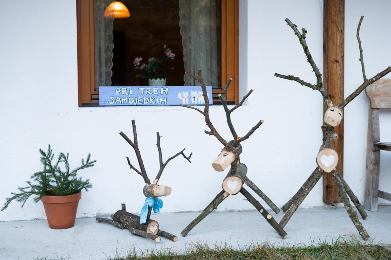 Bovec Home At Three Samoyeds Soča Exteriér fotografie