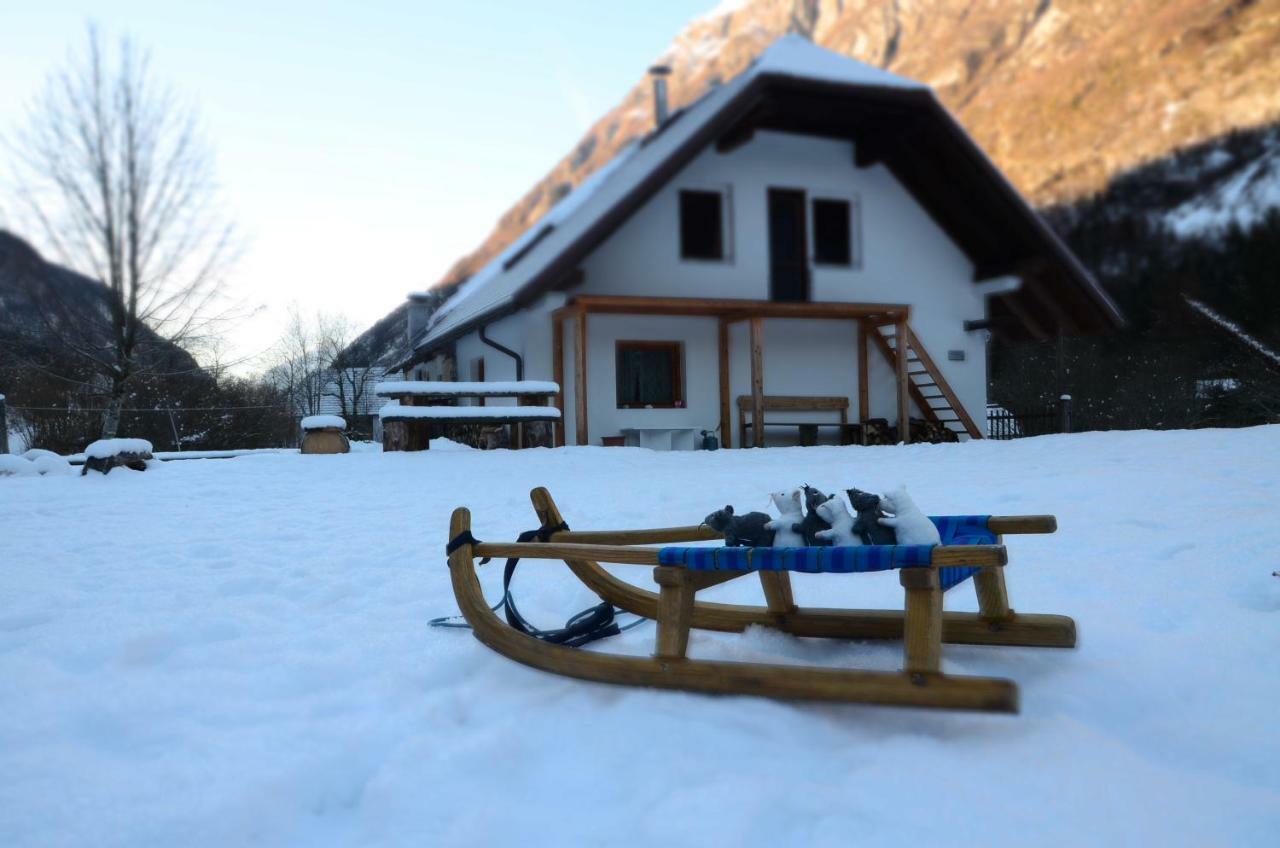 Bovec Home At Three Samoyeds Soča Exteriér fotografie